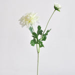 bouquet dahlias rose clair blanc minimaliste décoration intérieure hiver anniversaire noël mariage