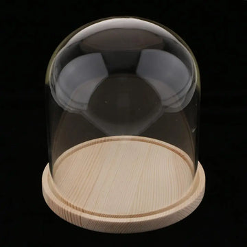 cloche verre transparent cloche verre base bois naturel vase minimaliste décoration intérieure transparent