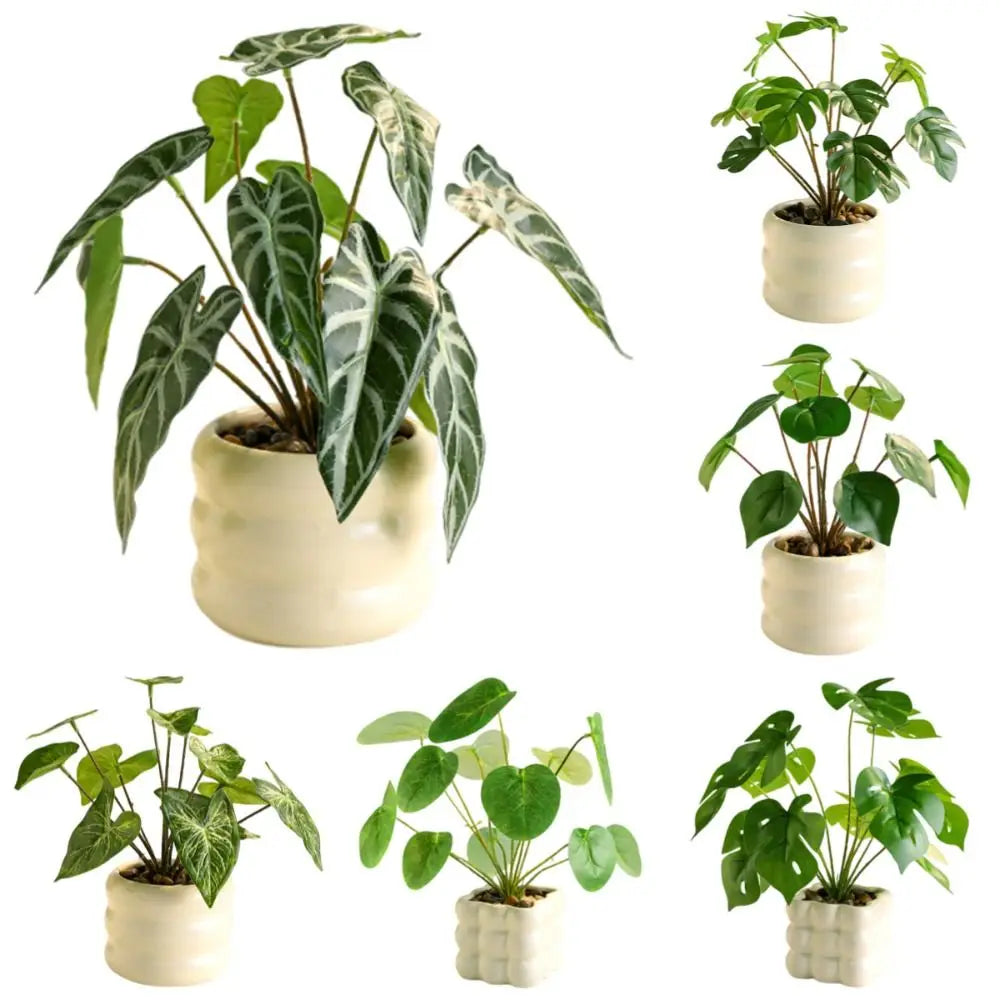 plantes artificielles vertes feuilles blanches moderne minimaliste sans entretienextérieur anniversaire