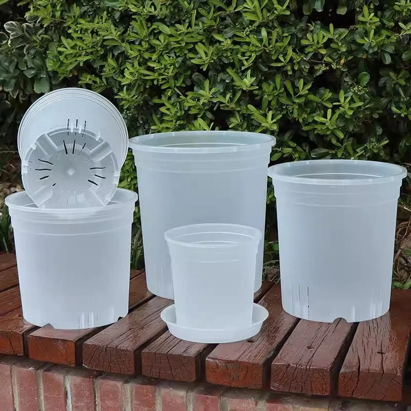 Pot fleurs transparent perforations plantes grandes décoration moderne jardin maison