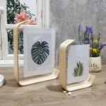 cadre photo moderne feuille tropicale transparent bois naturel 10x15cm 15x20cm adhésif minimaliste