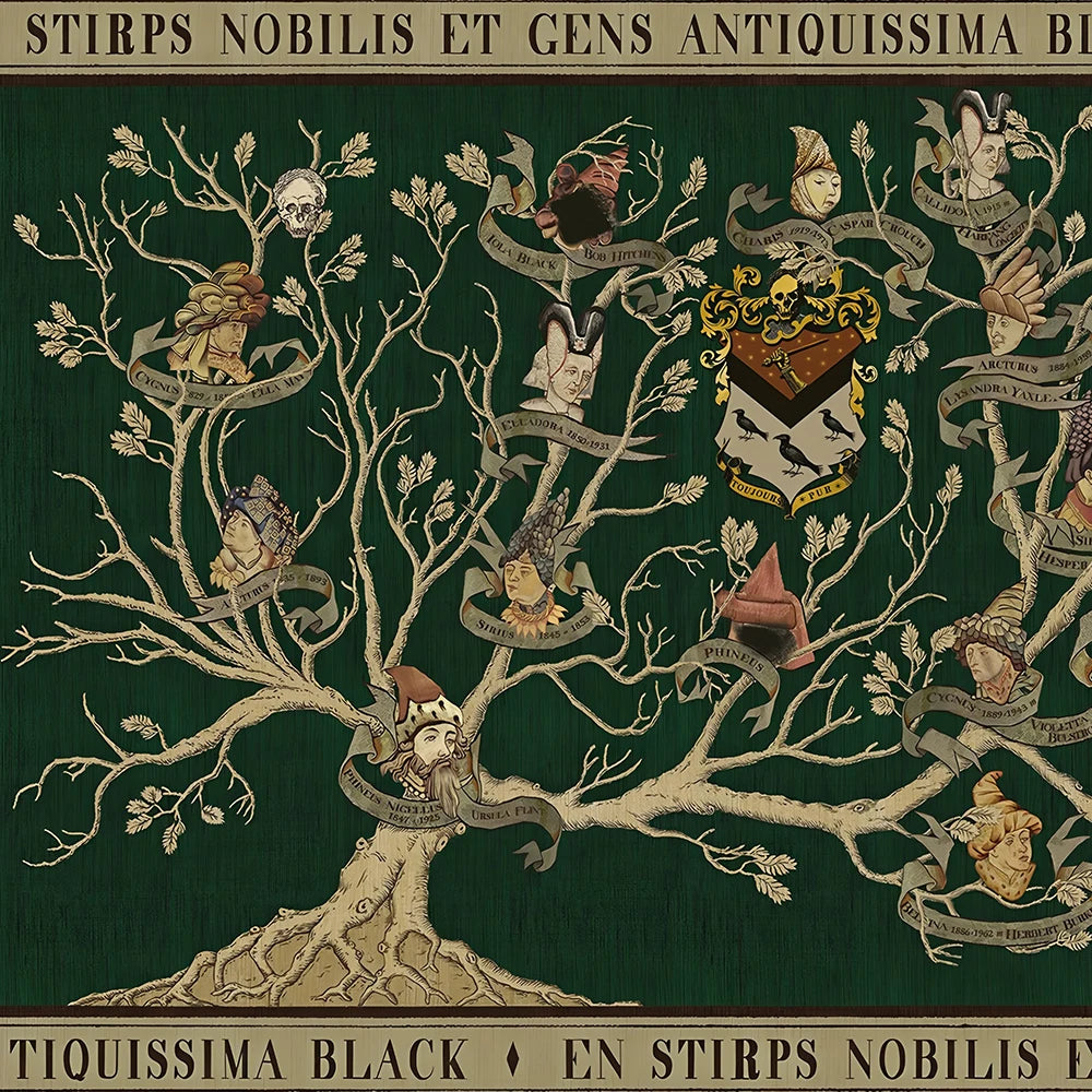 toile d'art arbre généalogique harry potter verte ancienne héraldique personnage blason vintage mur decoration