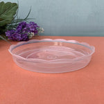 assiettes transparentes modernes plastique pp non enduit 10cm 11.2cm 13cm 13.8cm