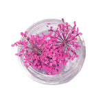 décorations nail art fleurs séchées violet rose vert rouge orange blanc naturel strass ongles
