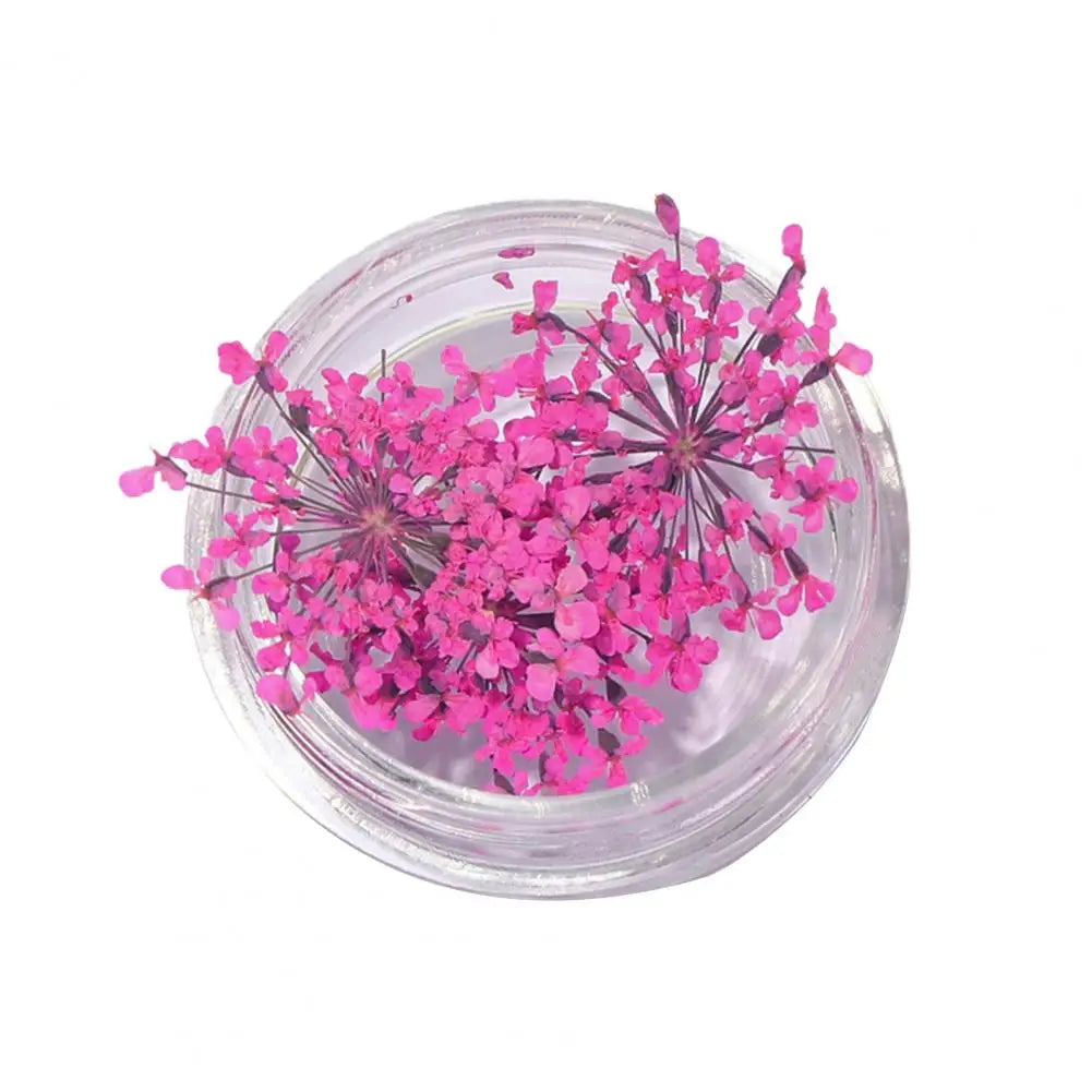 décorations nail art fleurs séchées violet rose vert rouge orange blanc naturel strass ongles