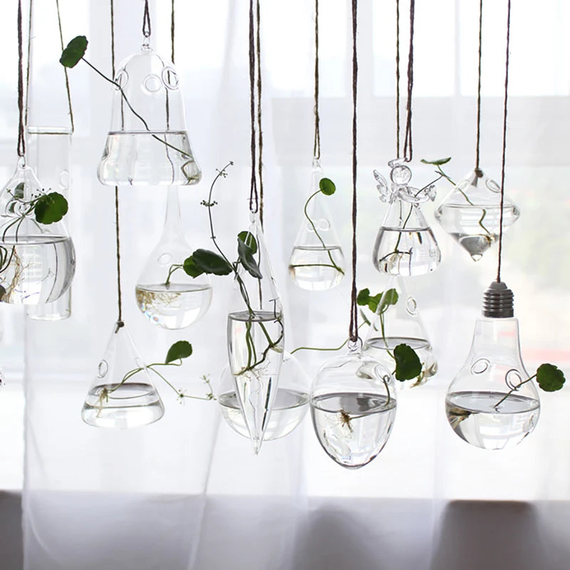 vases suspendus verre transparent modernes plante verte minimaliste fil coton