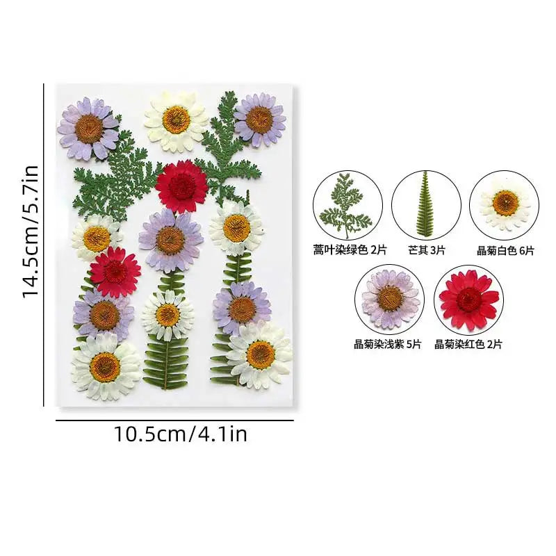 fleurs séchées violet bleu rose jaune naturelles décoration maison intérieur variés différents