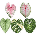 coasters feuilles tropicales vert blanc rose antidérapants moderne protége comptoir cuisine