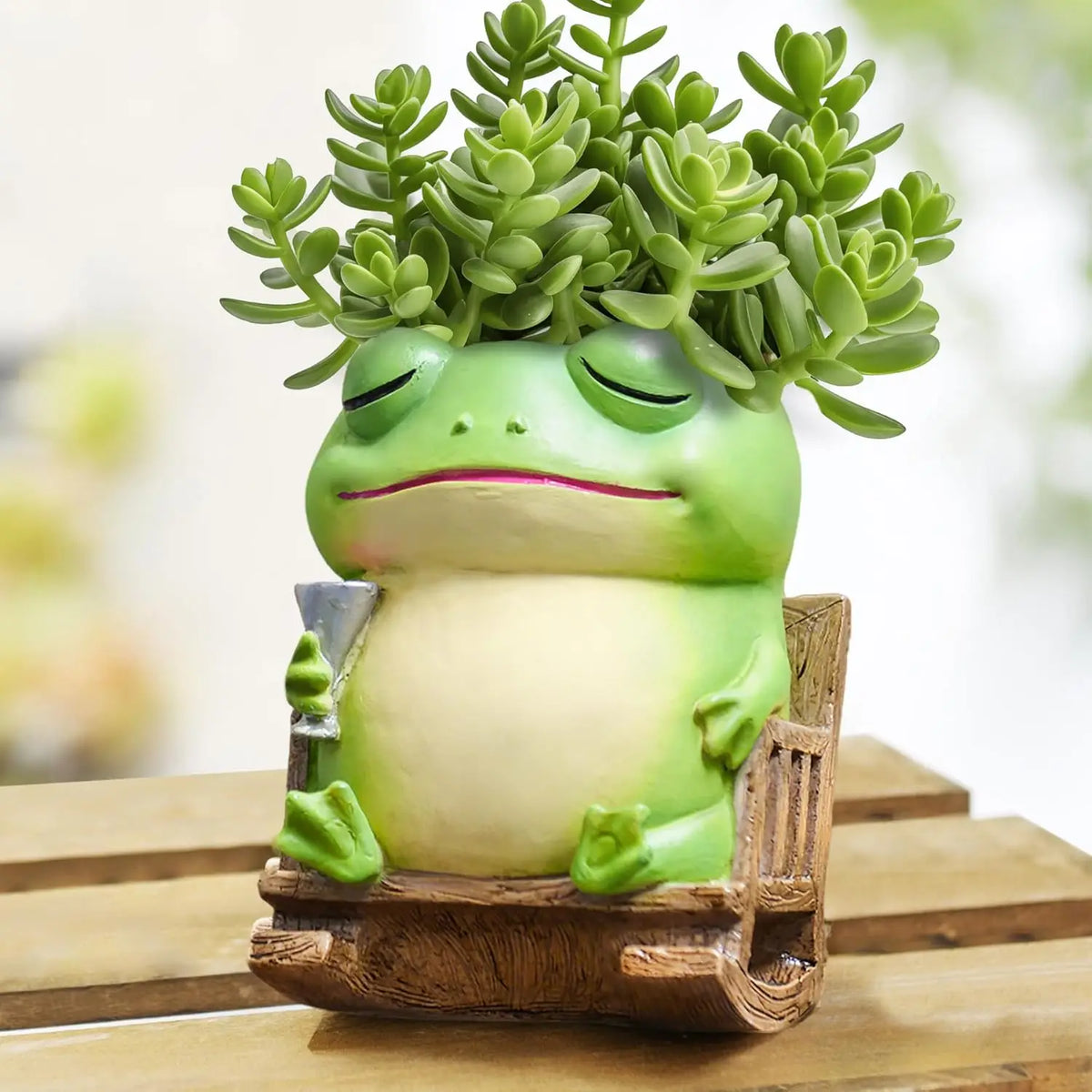 pot résine forme grenouille verte plante grimpante rocking chair décoration zen maison jardin fleuri