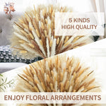 décoration maison bouquet dried flowers naturelles pampas beige rustique vase