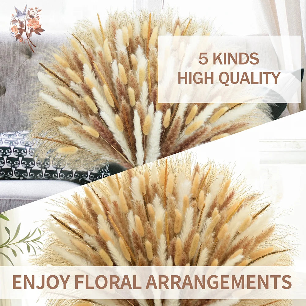 décoration maison bouquet dried flowers naturelles pampas beige rustique vase