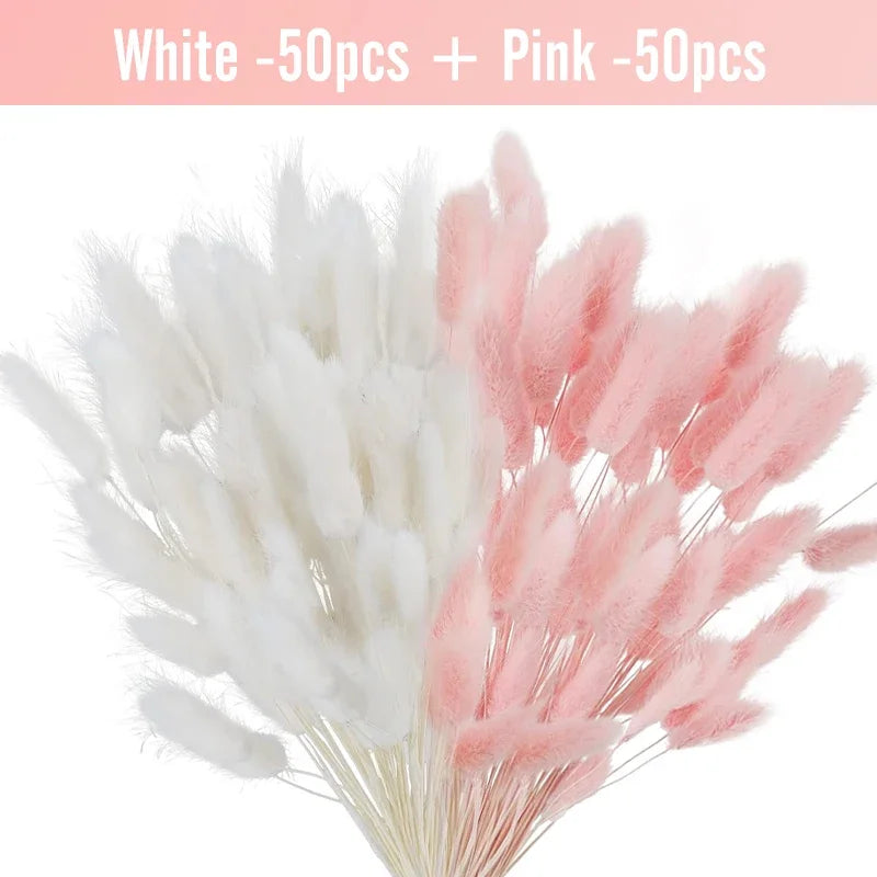 plumes séchées naturelles queue lapin décoration maison fêtes anniversaires mariage bohème rustic beige clair