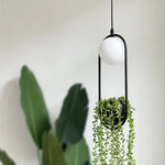 suspension végétale moderne plante artificielle lumière sphère lumineuse noir blanc vert minimaliste