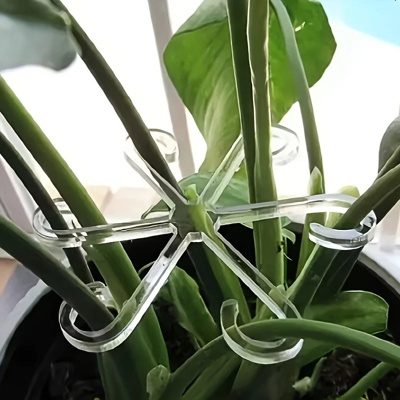 supports plantes étoile vert clips réglables moderne jardin pot fleur