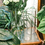 vases transparents modernes plastique inébranlables grandes tailles fleurs artificielles hydroponie