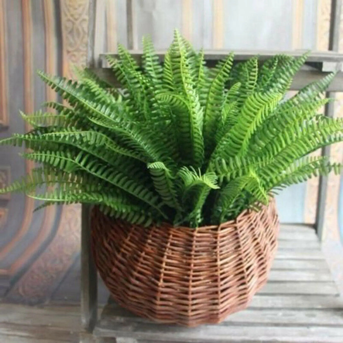 plantes artificielles fougère boston feuilles vertes deco marron violet rose pot verre panier tressé
