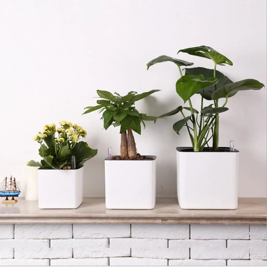 pot plante autoarrosant indicateur eau blanc moderne plantes fleurs herbes légumesintérieurextérieur