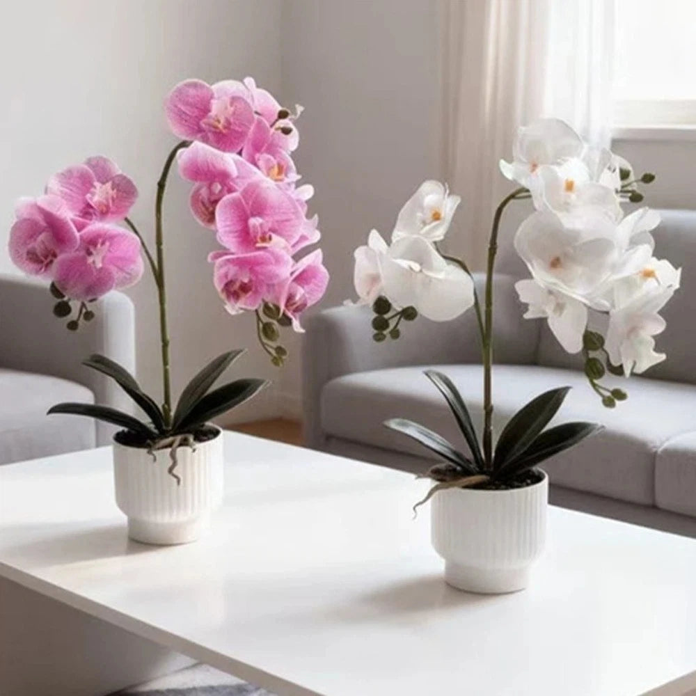 décoration intérieure orchidées artificielles fleurs douces rose blanc pot blanc gravier moderne élégant accroché