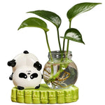 cache pot verre transparent base céramique panda lapin feuilles moderne intérieur blanc noir vert