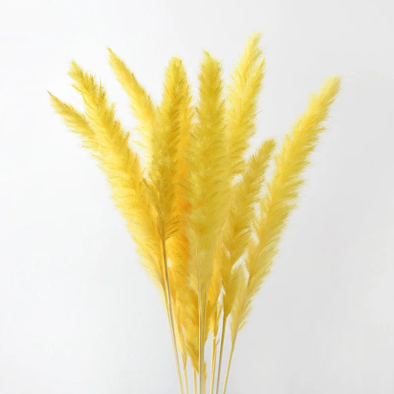 plumes pampas séchées blanches décorations fleurs naturelles rustiques mariage maison intérieur bouquet