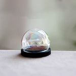 vase boule verre transparent base bois couvercle fleurs séchées