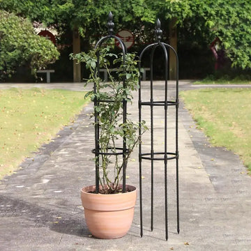 support plante grimpante noir structure métallique cercles horizontaux classiqueextérieurintérieur floral decoration