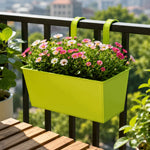 bac fleurs suspendu vert clair noir vert fluo violet anneaux métalliques plante verte différente