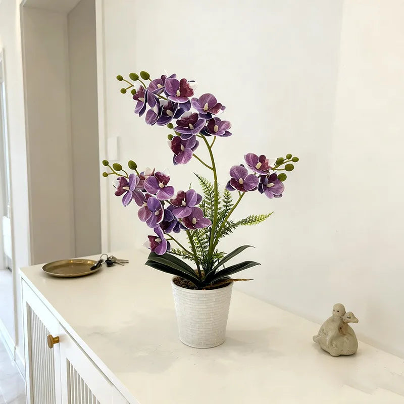 orchidées artificielles rose blanc violet pot moderne intérieur décoration fleurs feuilles