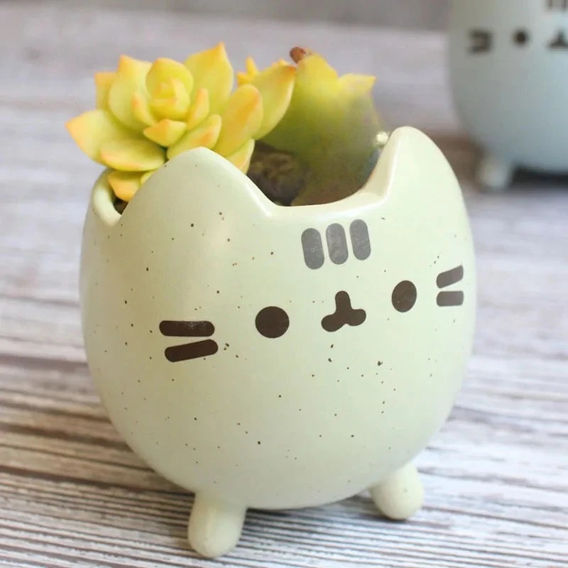 pots céramique argile succulentes dessin animé visage chat couleur beige rose bleuclair