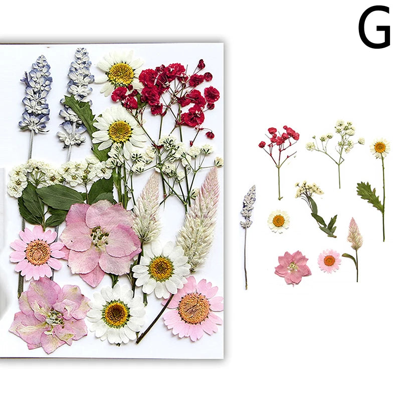 fleurs séchées assortiment variété naturelle bouquets décor intérieur artisanat décoration maison fixations invisibles couleurs