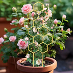 treillis decoratif moderne hexagonal jaune fleurs roses tomates balcon jardinextérieur
