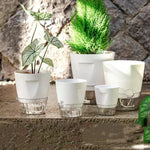 pots plantes auto arrosants intérieur plastique blanc beige gris transparent