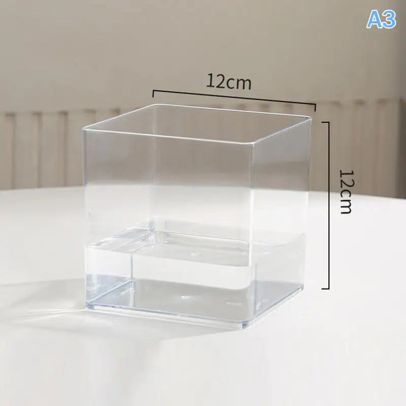 mini jardins verre transparent plante pierre sucre coloré moderne minimalisteintérieurextérieur