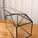 serre verre transparent moderne couvercle perforé clips air plant