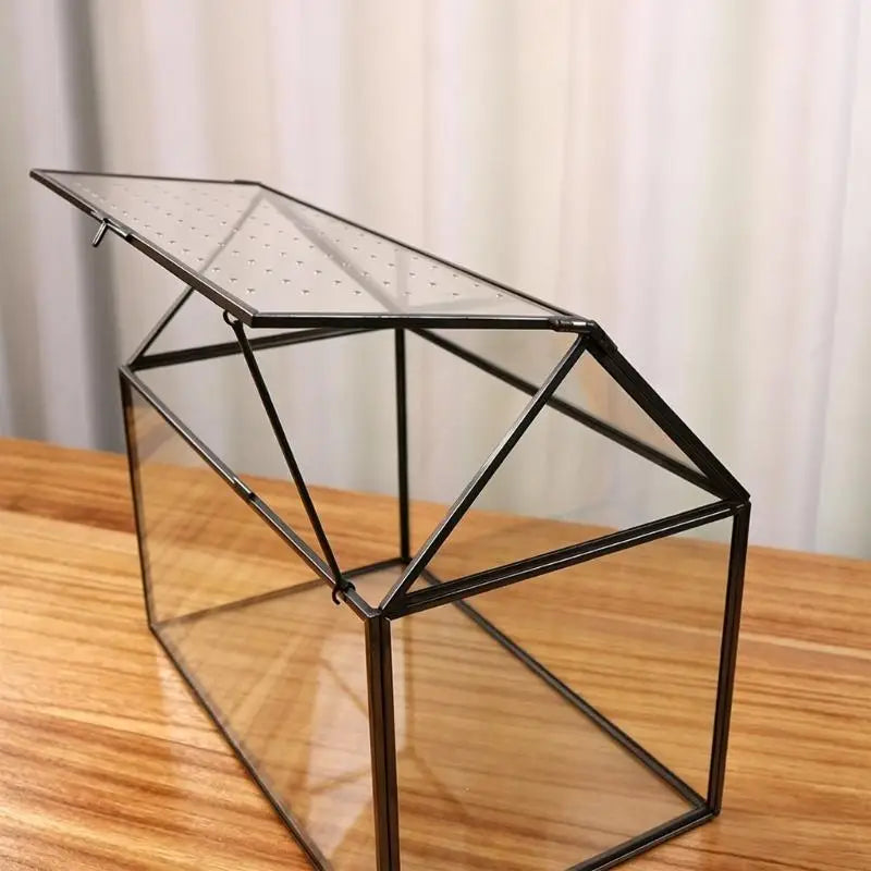 serre verre transparent moderne couvercle perforé clips air plant