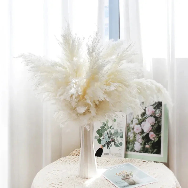 décoration boho plante séchée pampa blanche naturelle intérieur anniversaire mariage