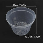 pots fleurs transparents modernes drainage holes ensemble plantes herbes cactus