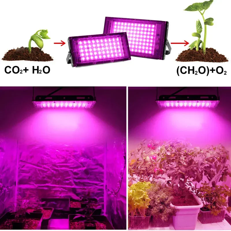 lampe croissance led full spectrum 50w 100w 200w 300w noir clips moderne