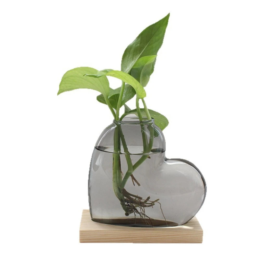 vase verre forme cœur transparent moderne plante verte support bois