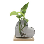 vase verre forme cœur transparent moderne plante verte support bois