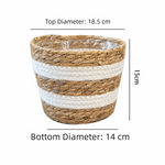 panier bohème cylindrique texture fibreuse strié beige blanc intérieur transparent plantes fleurs