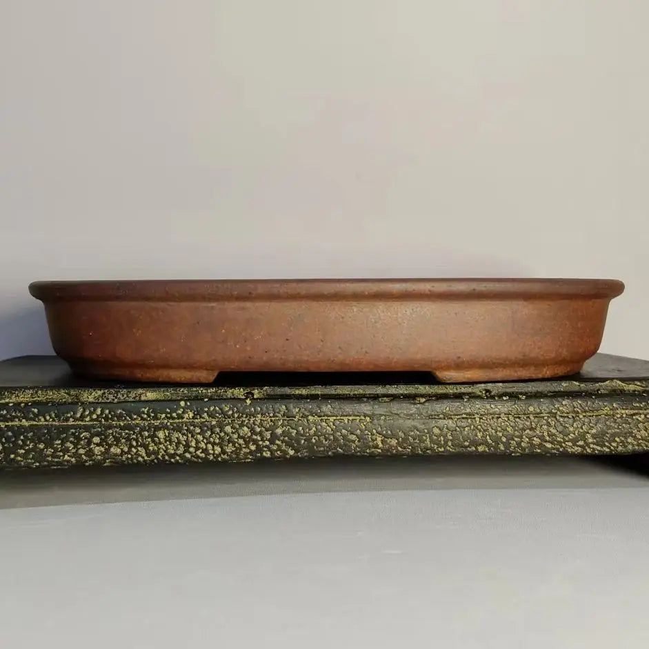 pots fleurs brun rustique texture rugueuse bonsaï traditionnel classique profondsadultes