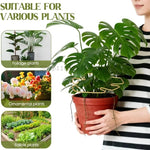 Support tiges plantes or noir vert spirale moderne intérieur pot balcon jardin
