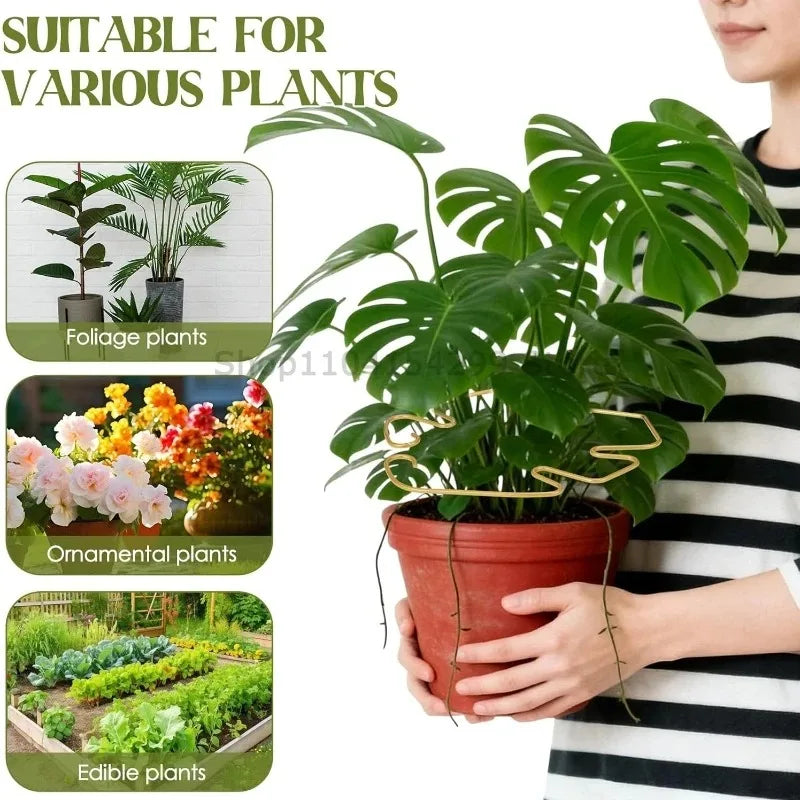 Support tiges plantes or noir vert spirale moderne intérieur pot balcon jardin