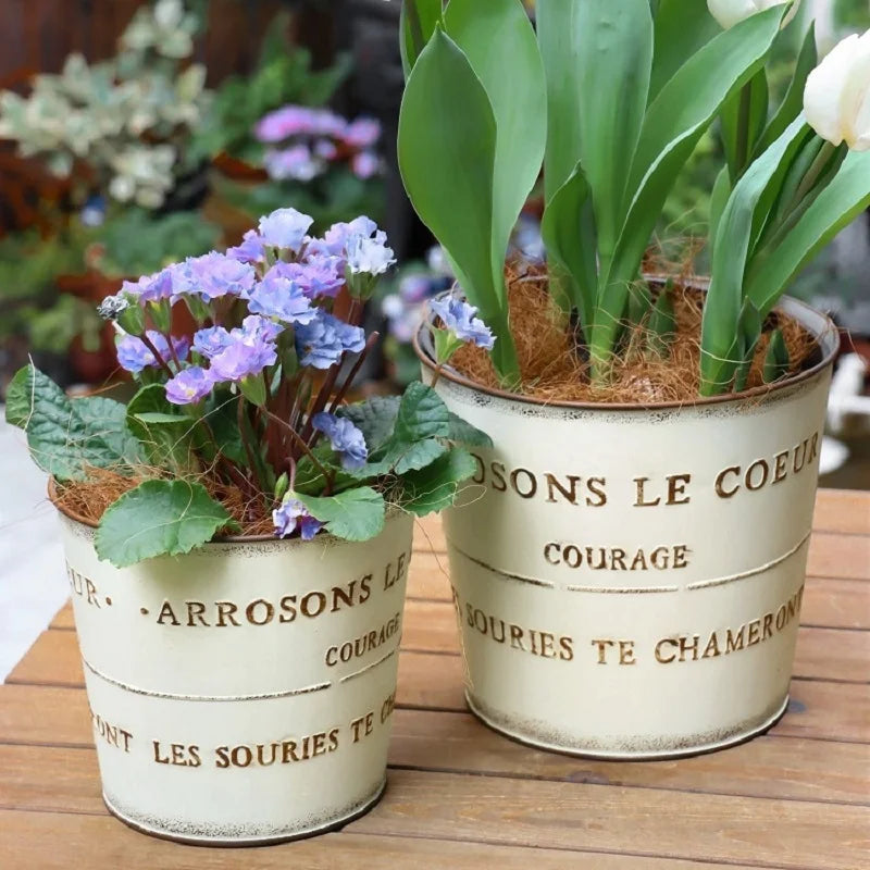 pots fleurs métal vintage rustique blanc crème bronze cyclamen tulipes succulentes bonsaï drainageextérieur balcon