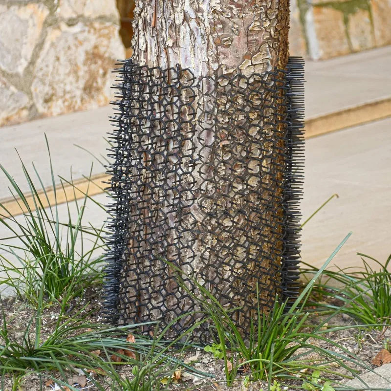 filet anti chat animaux jardin noir maille régulière dissuasion extérieur pragmatique fixations