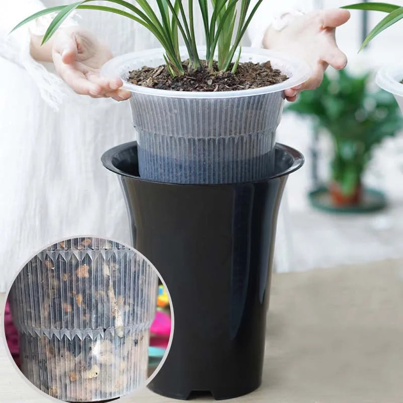 pots orchidées noir moderne adhésif racines controle fleur plante verte 13cm 15cm 18cm