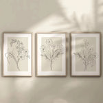 affiches art minimalistes toile simples dessins floraux noir beige clair cadres bois chambre salon