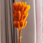 décoration intérieure bouquet plumes séchées rose pâle naturel rustique anniversaire baby shower chambre