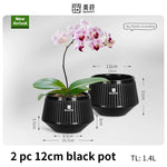 pots orchidées blancs moderne ventilation aération plateaux intérieurs extérieurs